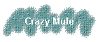 Crazy Mule
