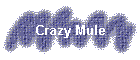 Crazy Mule