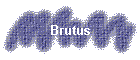 Brutus