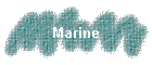 Marine