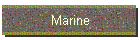 Marine